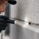 Commercial Pest Prevention in Holly Springs NC An IPM Guide for Businesses
